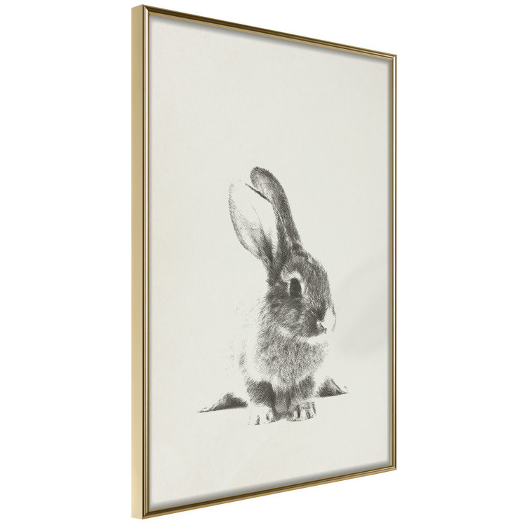Poster Fluffy Bunny - gray rabbit sketch on a solid background 130756 additionalImage 12