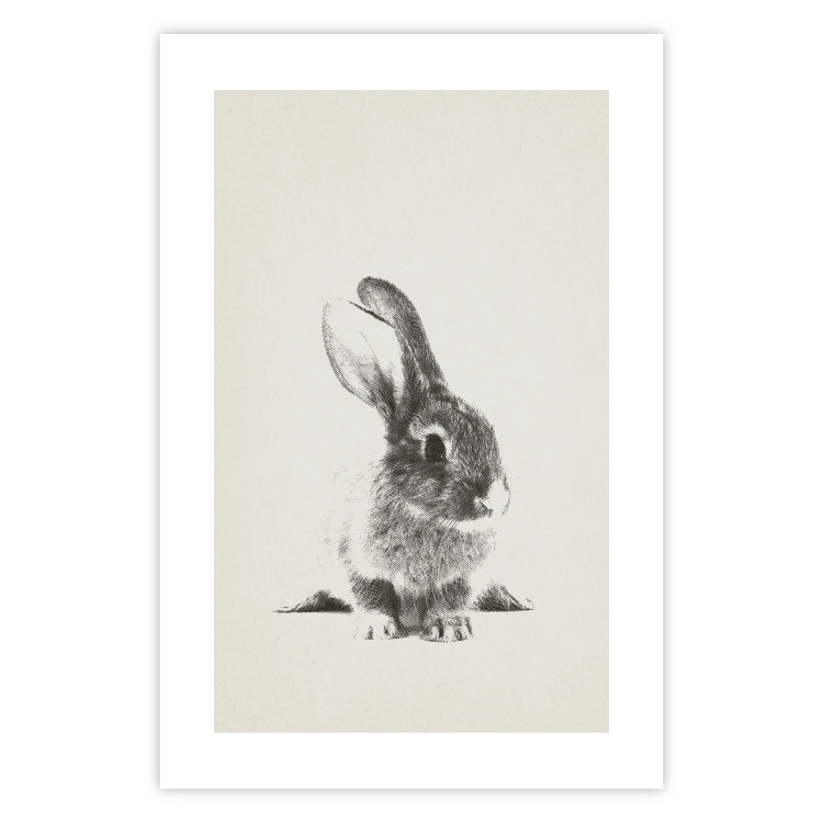 Poster Fluffy Bunny - gray rabbit sketch on a solid background 130756 additionalImage 25