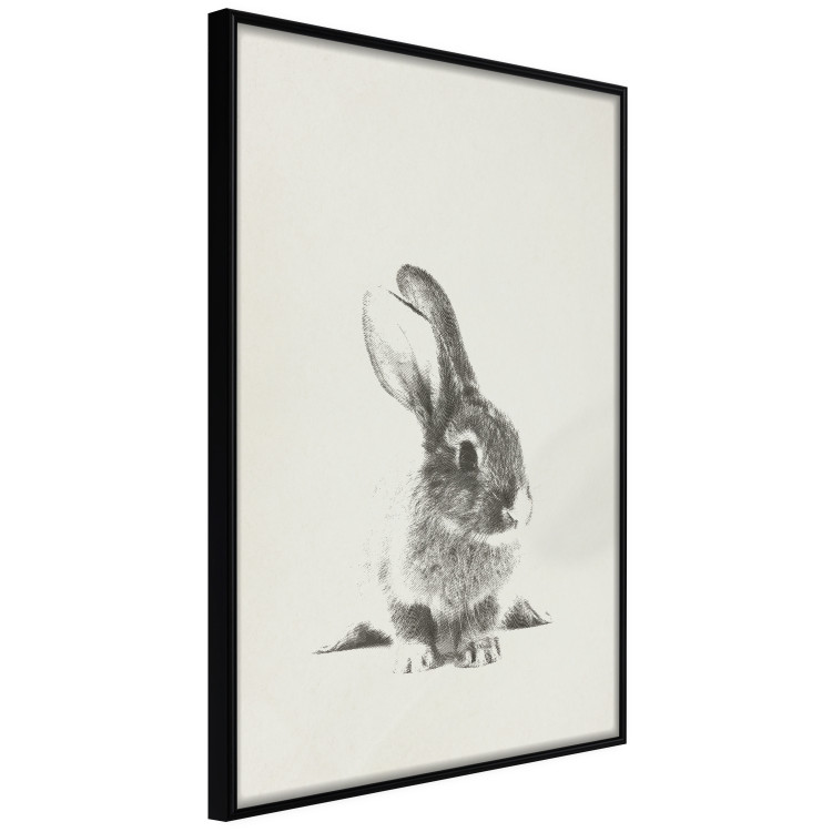 Poster Fluffy Bunny - gray rabbit sketch on a solid background 130756 additionalImage 11