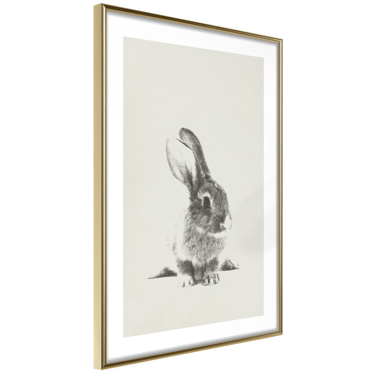 Poster Fluffy Bunny - gray rabbit sketch on a solid background 130756 additionalImage 9