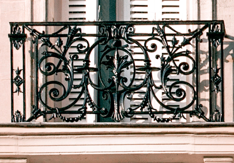 Canvas Paris shutters - photograph of the French capital architecture 132256 additionalImage 5