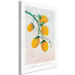 Canvas Print Citrus - drawing image of a branch of a lemon tree 135156 additionalThumb 2