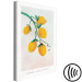 Canvas Print Citrus - drawing image of a branch of a lemon tree 135156 additionalThumb 6