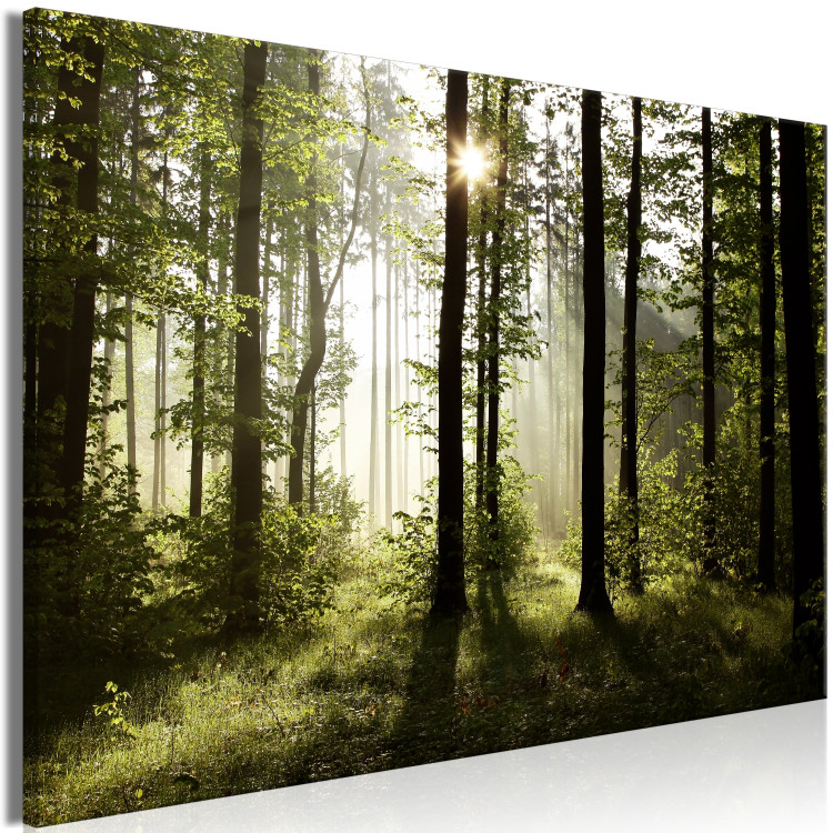 Large canvas print Summer Fog [Large Format] 137556 additionalImage 3