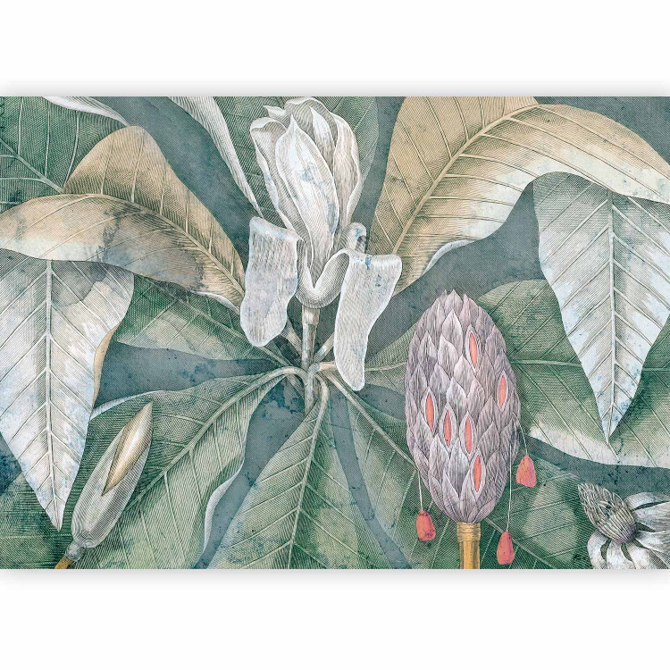 Photo Wallpaper Umbrella tree - tropical green foliage by Mark Catesby 144656 additionalImage 1