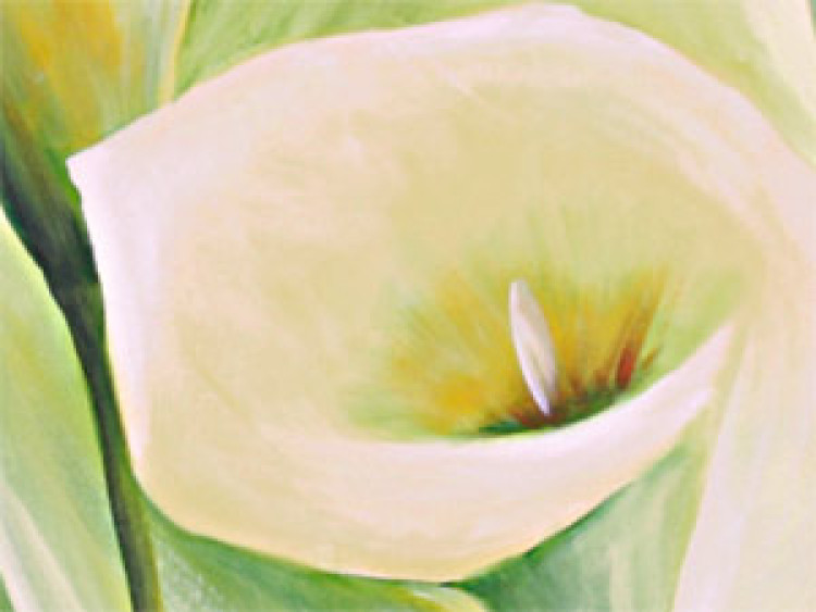 Canvas Print Callas (1-piece) - delicate flower bouquet 46556 additionalImage 2