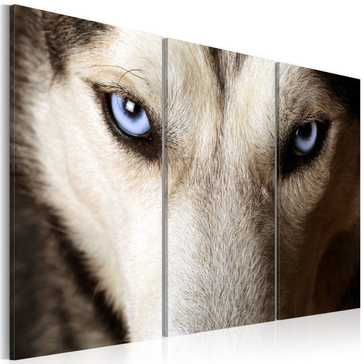 Canvas Art Print Face to face with fear 58756 additionalImage 2