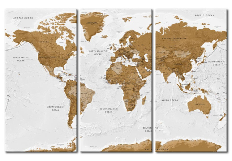 Canvas World Map: White Poetry (3-part) - brown continents on white 94556