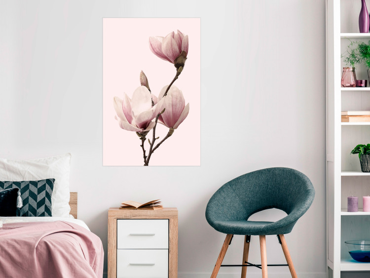 Poster Seasonal Flowers - light pink magnolias on a pastel background 117166 additionalImage 23