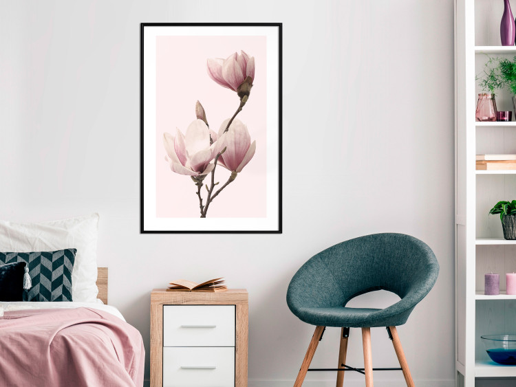 Poster Seasonal Flowers - light pink magnolias on a pastel background 117166 additionalImage 5