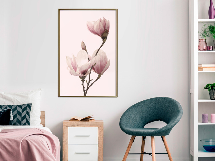 Poster Seasonal Flowers - light pink magnolias on a pastel background 117166 additionalImage 7