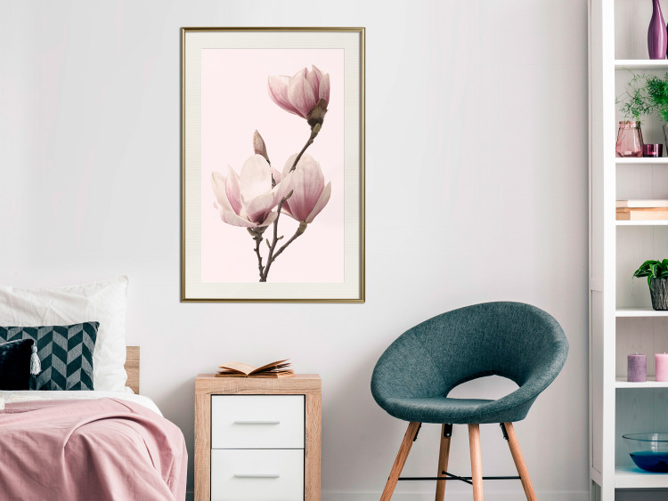 Poster Seasonal Flowers - light pink magnolias on a pastel background 117166 additionalImage 21