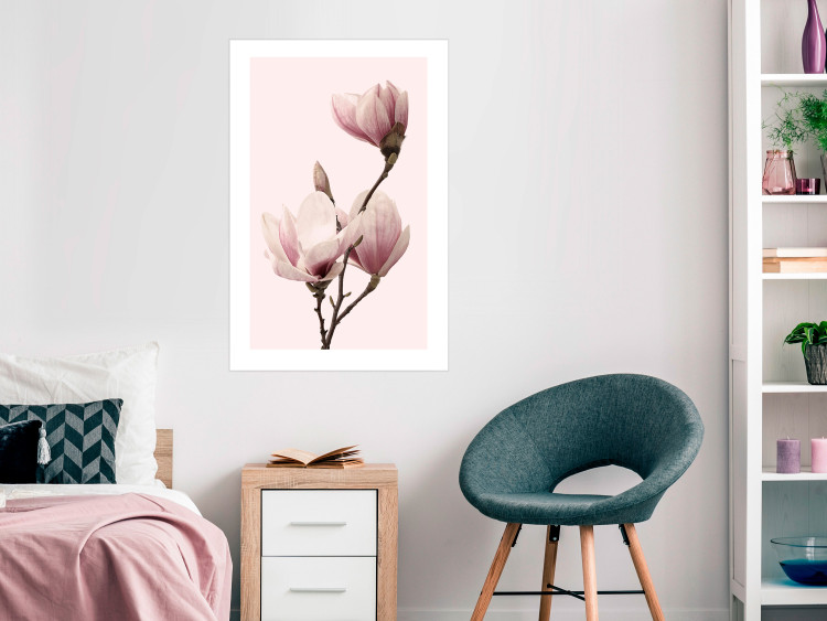 Poster Seasonal Flowers - light pink magnolias on a pastel background 117166 additionalImage 4