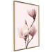 Poster Seasonal Flowers - light pink magnolias on a pastel background 117166 additionalThumb 13