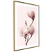 Poster Seasonal Flowers - light pink magnolias on a pastel background 117166 additionalThumb 10