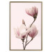 Poster Seasonal Flowers - light pink magnolias on a pastel background 117166 additionalThumb 20