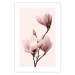 Poster Seasonal Flowers - light pink magnolias on a pastel background 117166 additionalThumb 25