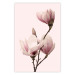 Poster Seasonal Flowers - light pink magnolias on a pastel background 117166