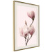 Poster Seasonal Flowers - light pink magnolias on a pastel background 117166 additionalThumb 5