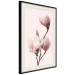 Poster Seasonal Flowers - light pink magnolias on a pastel background 117166 additionalThumb 8