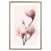 Poster Seasonal Flowers - light pink magnolias on a pastel background 117166 additionalThumb 16