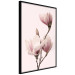 Poster Seasonal Flowers - light pink magnolias on a pastel background 117166 additionalThumb 9