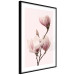 Poster Seasonal Flowers - light pink magnolias on a pastel background 117166 additionalThumb 12