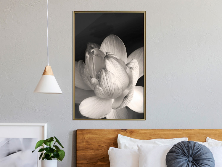 Wall Poster White Subtlety - composition with a light flower on a deep black background 117766 additionalImage 12