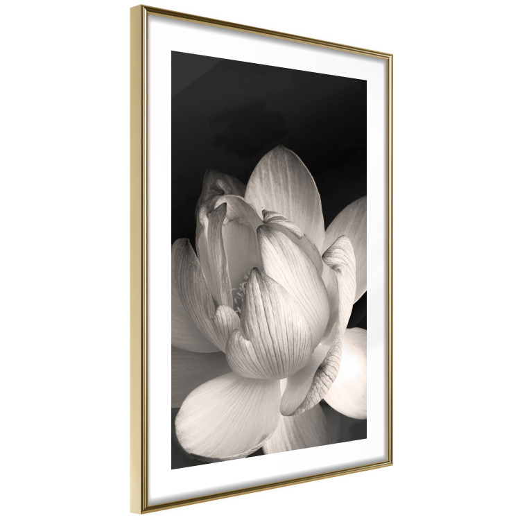 Wall Poster White Subtlety - composition with a light flower on a deep black background 117766 additionalImage 5