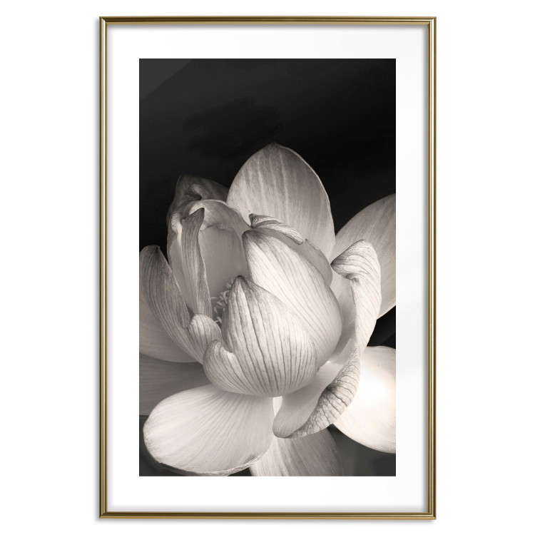 Wall Poster White Subtlety - composition with a light flower on a deep black background 117766 additionalImage 14