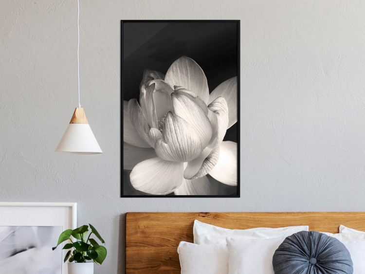 Wall Poster White Subtlety - composition with a light flower on a deep black background 117766 additionalImage 9