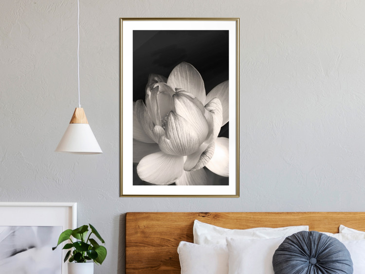 Wall Poster White Subtlety - composition with a light flower on a deep black background 117766 additionalImage 13