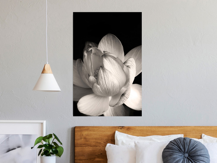 Wall Poster White Subtlety - composition with a light flower on a deep black background 117766 additionalImage 17
