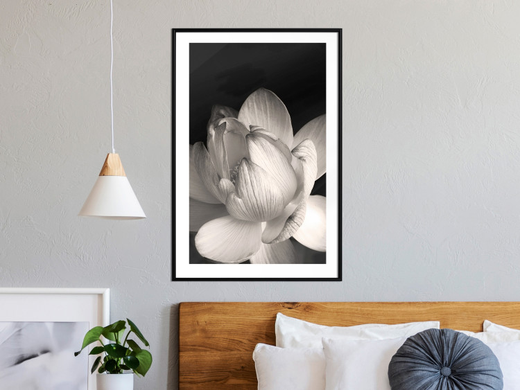 Wall Poster White Subtlety - composition with a light flower on a deep black background 117766 additionalImage 10