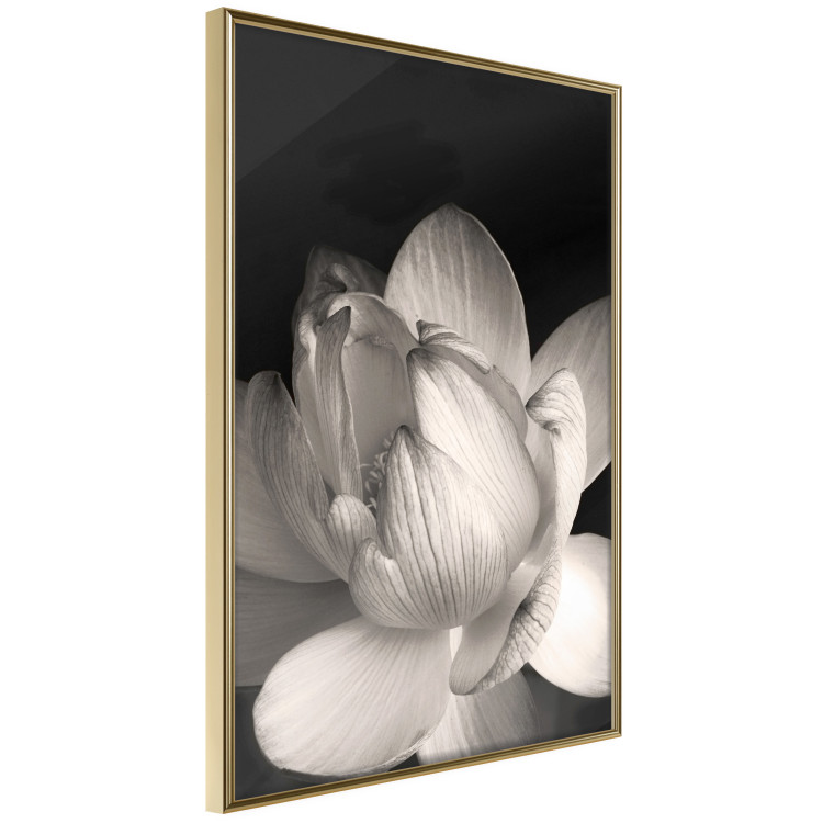 Wall Poster White Subtlety - composition with a light flower on a deep black background 117766 additionalImage 2