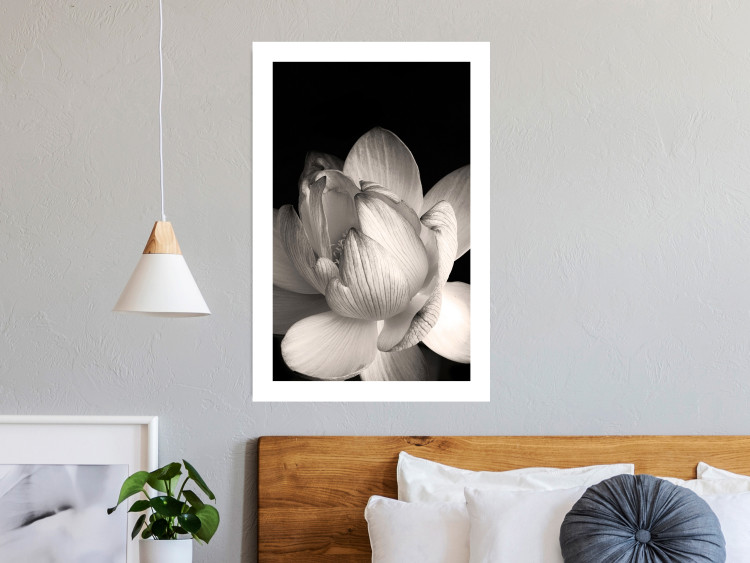 Wall Poster White Subtlety - composition with a light flower on a deep black background 117766 additionalImage 11