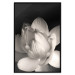 Wall Poster White Subtlety - composition with a light flower on a deep black background 117766 additionalThumb 18