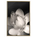 Wall Poster White Subtlety - composition with a light flower on a deep black background 117766 additionalThumb 16