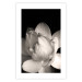 Wall Poster White Subtlety - composition with a light flower on a deep black background 117766 additionalThumb 19
