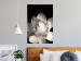 Wall Poster White Subtlety - composition with a light flower on a deep black background 117766 additionalThumb 17