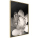 Wall Poster White Subtlety - composition with a light flower on a deep black background 117766 additionalThumb 2