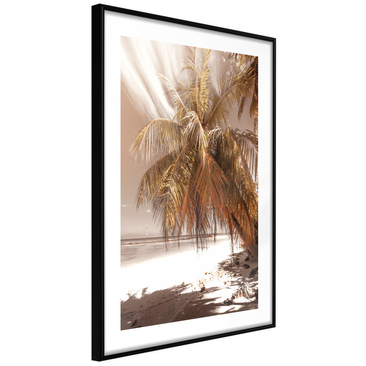 Wall Poster Palm Shade - tropical palm landscape against beach backdrop in sepia motif 123766 additionalImage 11