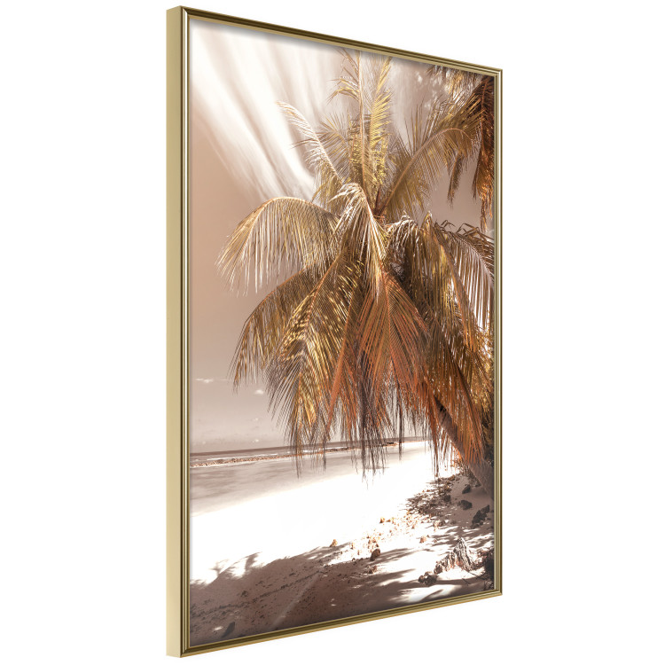 Wall Poster Palm Shade - tropical palm landscape against beach backdrop in sepia motif 123766 additionalImage 12