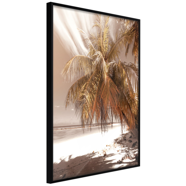 Wall Poster Palm Shade - tropical palm landscape against beach backdrop in sepia motif 123766 additionalImage 10