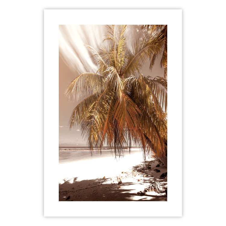 Wall Poster Palm Shade - tropical palm landscape against beach backdrop in sepia motif 123766 additionalImage 15