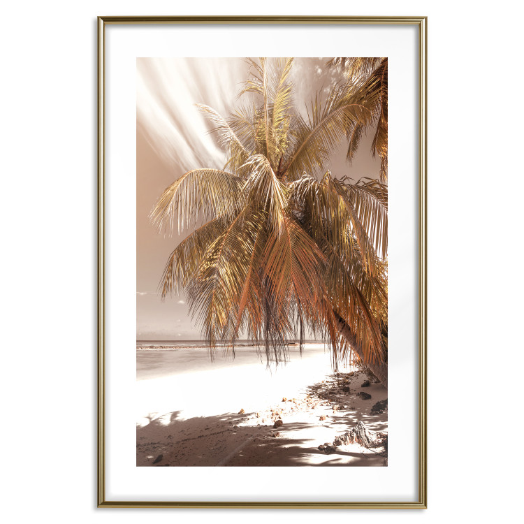 Wall Poster Palm Shade - tropical palm landscape against beach backdrop in sepia motif 123766 additionalImage 20