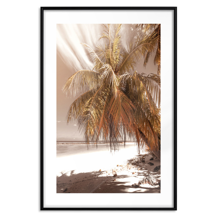 Wall Poster Palm Shade - tropical palm landscape against beach backdrop in sepia motif 123766 additionalImage 18