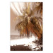 Wall Poster Palm Shade - tropical palm landscape against beach backdrop in sepia motif 123766