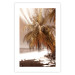 Wall Poster Palm Shade - tropical palm landscape against beach backdrop in sepia motif 123766 additionalThumb 15