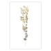Wall Poster Golden Branch - golden-gray plant on a contrasting white background 125366